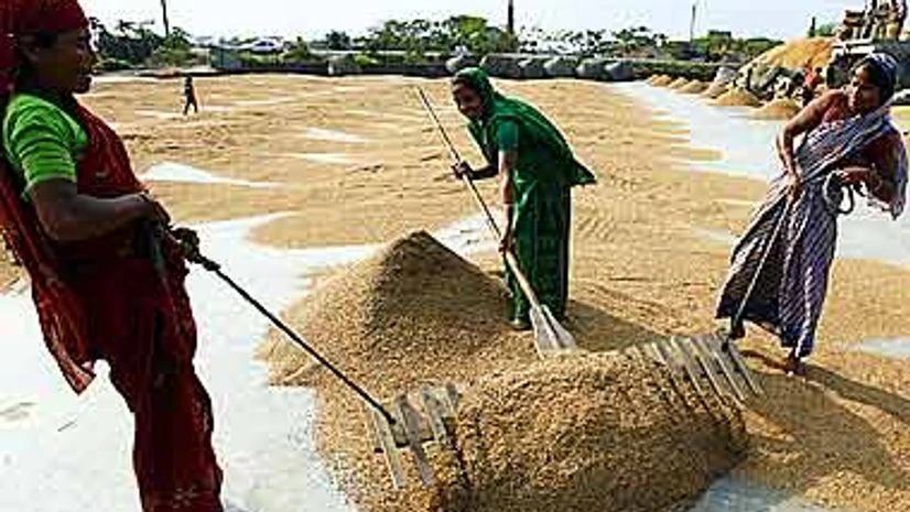 Grain stock ample to tackle drought, says Centre Grain stock ample to tackle drought, says Centre