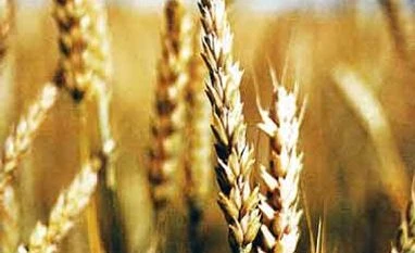 Odsiha to implement Food Security Act in November Odsiha to implement Food Security Act in November