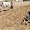 34 farmers, farm labourers commit suicide every day in 2014