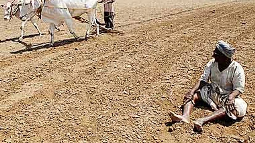 34 farmers, farm labourers commit suicide every day in 2014 34 farmers, farm labourers commit suicide every day in 2014