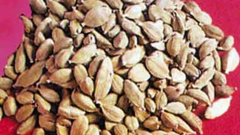 Cardamom prices fall by 0.7% on subdued demand Cardamom prices fall by 0.7% on subdued demand