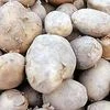 Potato prices double over a month but expected to cool