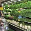 Organic food