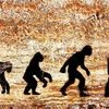 Evolution of Man