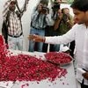 Hardik Patel, Convener of Patidar Anamat Andolan Samiti, offers floral tribute to Shwetang Patel at his prayer meeting in Ahmedabad