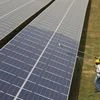 Workers clean photovoltaic panels inside a solar power plant in Gujarat