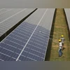 Workers clean photovoltaic panels inside a solar power plant in Gujarat Workers clean photovoltaic panels inside a solar power plant in Gujarat