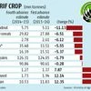 September rain brightens prospects of kharif output