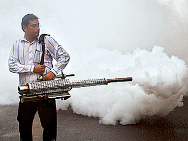 Mosquitoes Expats increasingly find Delhi unlivable