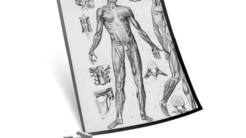 Is medicine a science? Is medicine a science?