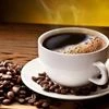 CCL Products dips post Q2 results