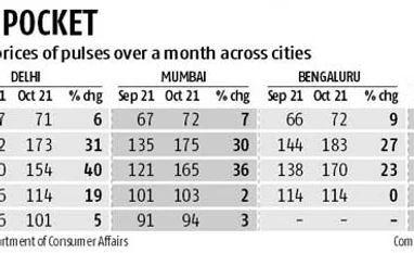 Price of pulses might fall in two weeks Price of pulses might fall in two weeks