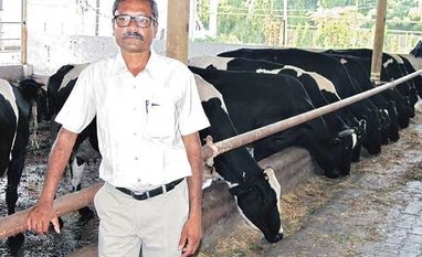 Amul's not so marginal farmers Amul's not so marginal farmers