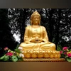 Lord Buddha Lord Buddha