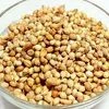 Coriander seeds