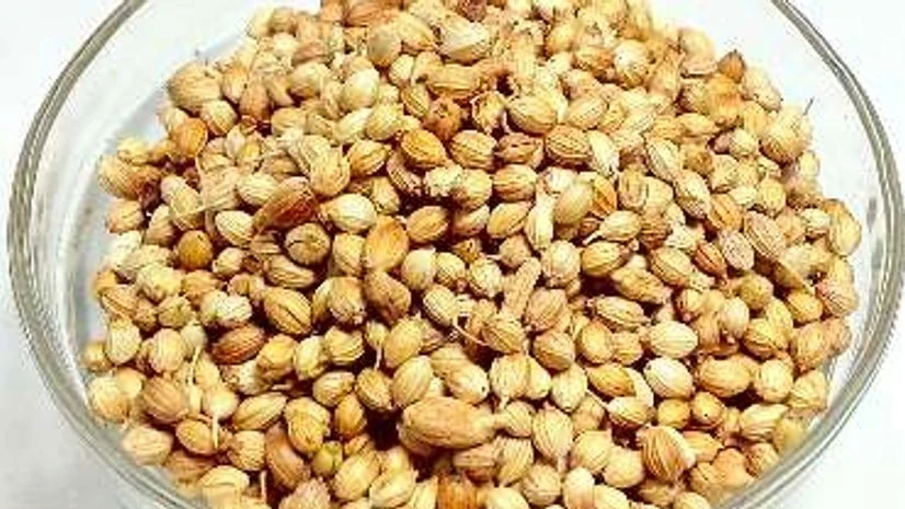 Coriander seeds Coriander seeds