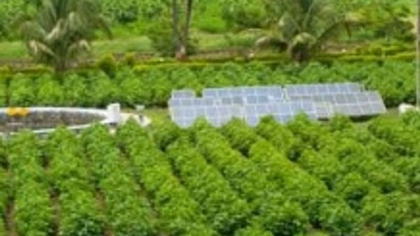 Jain Jyot solar water pumping system Jain Jyot solar water pumping system