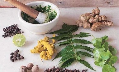 Better withstand Chemotherapy with these Natural Food Items Commercial success eludes Lucknow herbal innovation lab