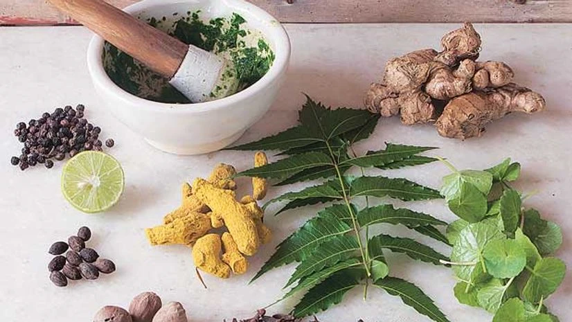 Commercial success eludes Lucknow herbal innovation lab Commercial success eludes Lucknow herbal innovation lab