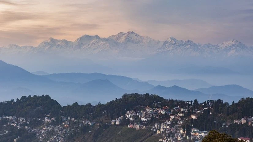 Gorkhaland protest: Darjeeling brew costs $1,800 a kg to European buyers Gorkhaland protest: Darjeeling brew costs $1,800 a kg to European buyers