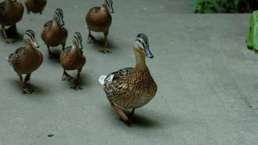 Image via Tech in Asia Image via Tech in Asia