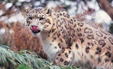 A race worth racing A race worth racing