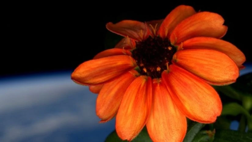 This image was tweeted by astronaut Scott Kelly This image was tweeted by astronaut Scott Kelly