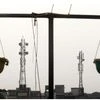 Telecommunication towers are pictured through hanging flower pots at a residential building in Kolkata (Photo: Reuters)