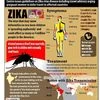 Zika virus on the rise, around 120 people tested positive in Rajasthan