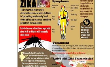 Zika virus on the rise, around 120 people tested positive in Rajasthan Zika virus