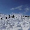 Operations by the specialized teams of the Army and the Air Force in progress to search for the bodies of the soldiers hit by an avalanche, in Siachen. Photo: PTI