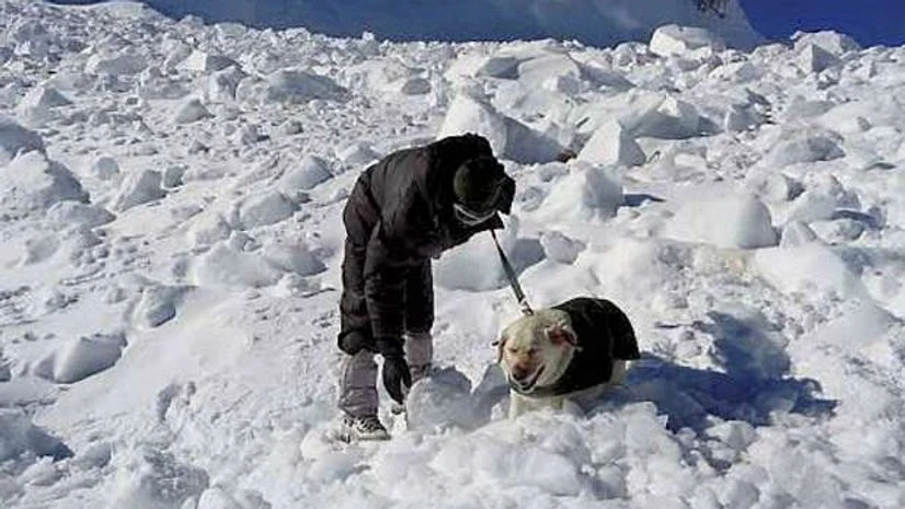 Siachen, Army, Soldiers, Air Force Siachen, Army, Soldiers, Air Force