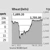 Wheat output expected to fall further