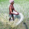 Neem-coated truth: Urea policy isn't a game-changer