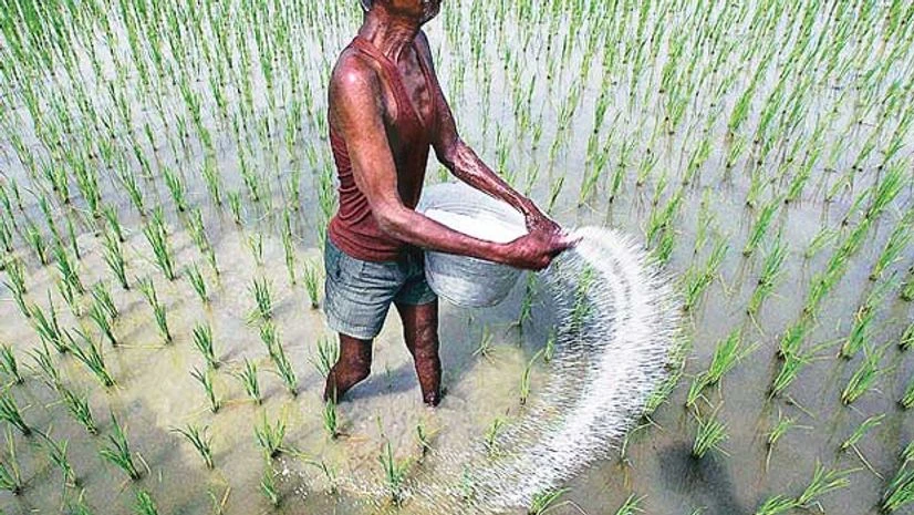 Neem-coated truth: Urea policy isn't a game-changer Neem-coated truth: Urea policy isn't a game-changer