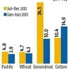 Only 5% of farmers cultivating wheat, rice insured their crops