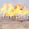 File photo of excess gas being burnt off a pipeline at Rumaila oilfield in Basra, Iraq