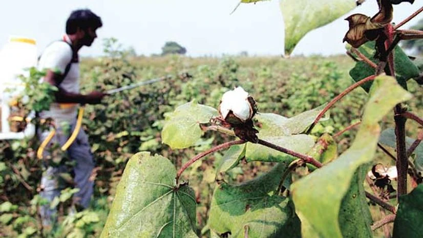 CCI orders investigation against Monsanto on govt complaint CCI orders investigation against Monsanto on govt complaint