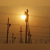 Loose electrical cable found on ship behind Baltimore bridge collapse A worker is silhouetted against the setting sun while installing an overhead electric cable pole on the banks of river Ganges, Allahabad