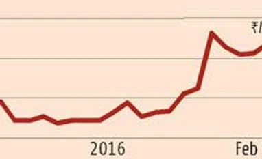 Commodity picks- 29 February 2016 Wheat