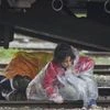 Migrant children cross railway tracks under a freight train during rainfall at the northern Greek border station of Idomeni