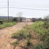 Tatas got prime land at dirt cheap rate from previous Maharashtra govt: RTI