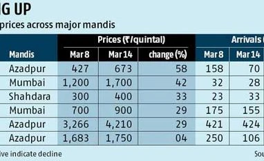 Vegetable prices rise up to 58% Vegetable prices rise up to 58%