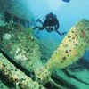A diver explores a wreck in south Andaman Islands