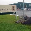Mosanto