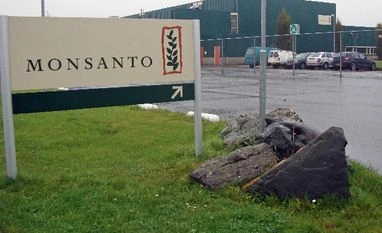 Monsanto jumps 7% on withdrawal of Bt cotton notification Mosanto