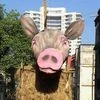 Swine Flu