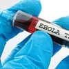 New Ebola virus may cause disease in humans