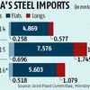 Safeguard duty on steel import extended