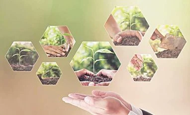 Leadership growth with social responsibility has positive results Leadership growth with social responsibility has positive results